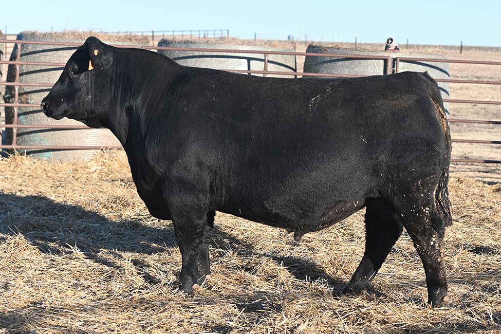 RSA Next Chapter 274