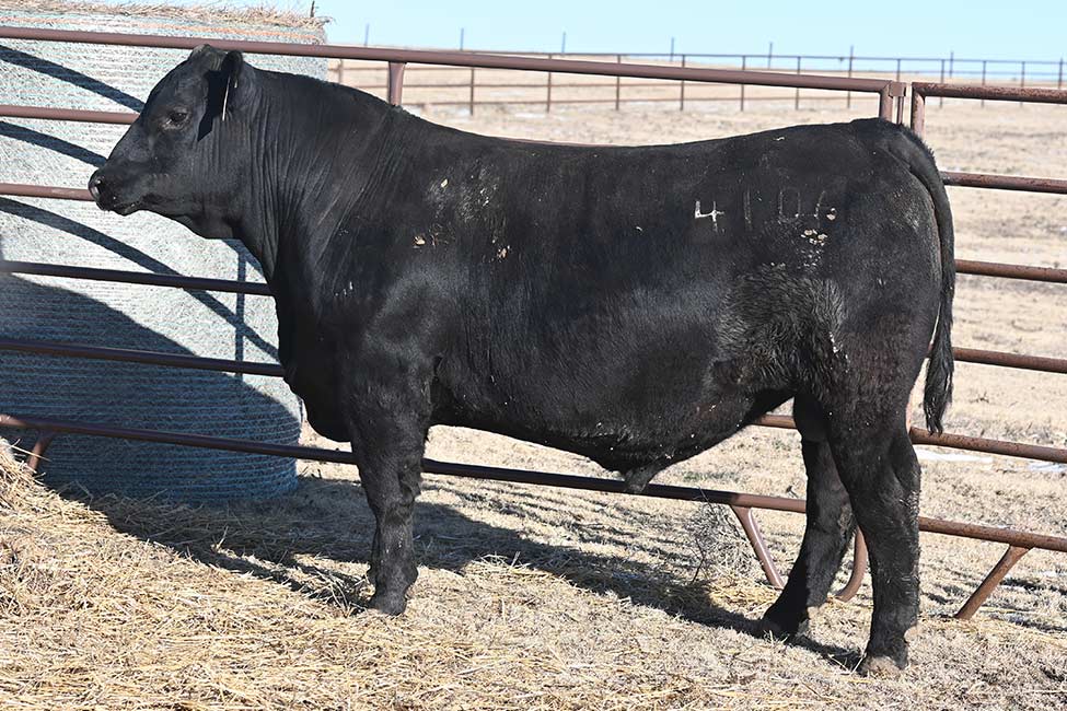 RSA Ball of Fire 4106