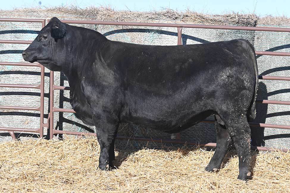 RSA Ball of Fire 4109