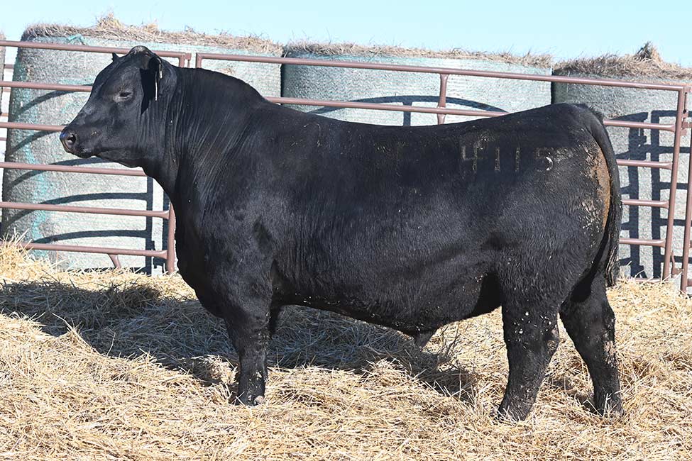 RSA True Balance 4115