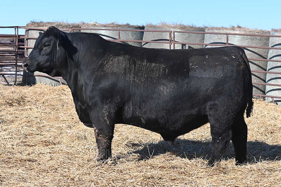 RSA True Balance 4116