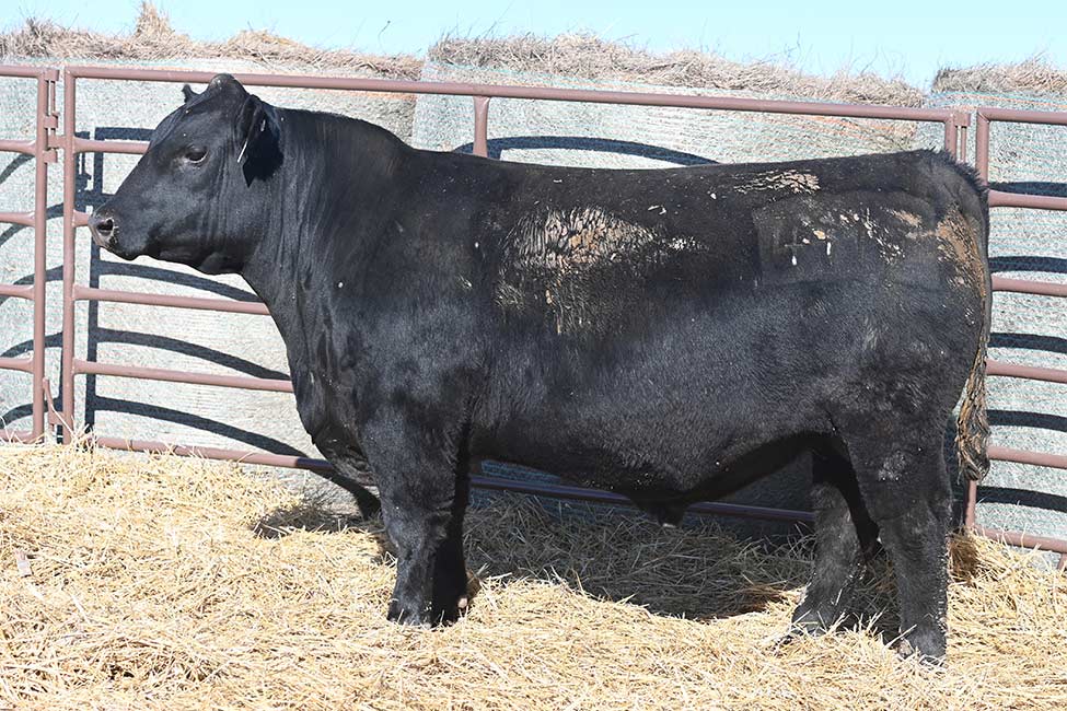 RSA Heat Seeker 4119