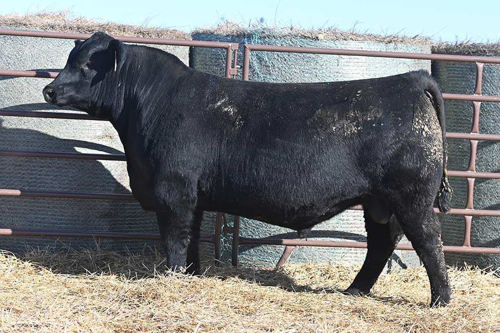 RSA True Balance 4125