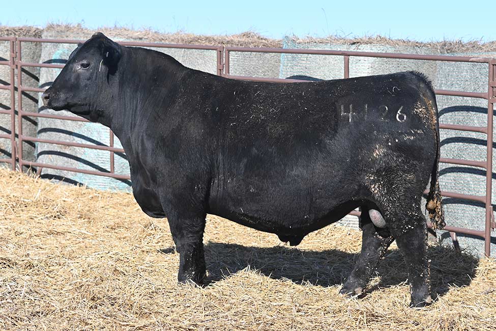 RSA True Balance 4126